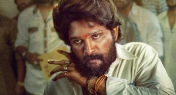 Allu Arjun : పుష్ప2 లో అల్లు అర్జున్ డేరెక్టర్ సుకుమార్ రిస్క్ చేస్తున్నడా, ఈ ప్రయోగం ఫ్యాన్స్ కు నచ్చుతుందా.