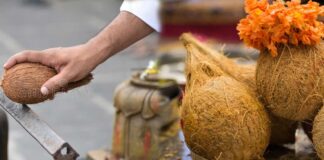 Devotional scientific reasons behind temple