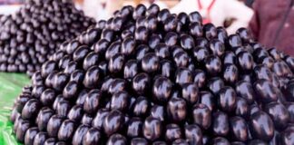 Health Benefits of eating Jamun fruit