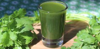 Health benefits of imnunity power in our body with coriander leaves
