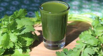 Health Tips : ఈ ఆకుల‌తో సులువుగా మీ బాడీలో రోగ‌నిరోధ‌క శ‌క్తిని పెంచుకోవ‌చ్చు…