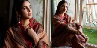 how beautiful lavanya tripati
