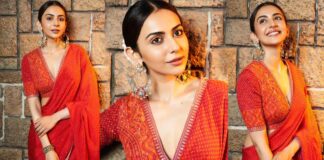 Rakul preeth sing in beautyful sari