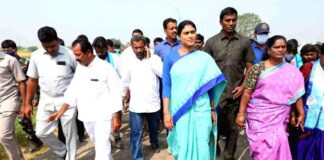 Will Sharmila win in Paleru