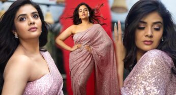Sreemukhi : చీర కట్టు అందంతో వయ్యారాలు పోతున్న శ్రీముఖి, వాహ్ ఏమి అందం.