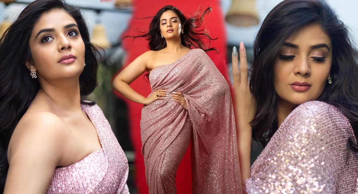 Sreemukhi : చీర కట్టు అందంతో వయ్యారాలు పోతున్న శ్రీముఖి, వాహ్ ఏమి అందం. srimukhi in beautiful sari looking so grace