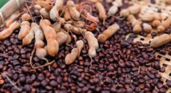 health tips : చింత‌గింజ‌ల‌ను ప‌డేస్తున్నారా…. వీటితో డ‌యాబెటిస్ స‌మ‌స్య‌కు గుడ్ బై చెప్ప‌వ‌చ్చు…