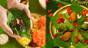 Pooja Tips : తాంబూలంగా తమలపాకులు ఇవ్వడంలో ఉన్న రహస్యం ఏమిటో తెలుసా?