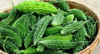 Bittergourd Health Benefits : డయాబెటిస్ వ్యాధితో బాధపడేవారు తరచుగా కాకరకాయ తినడం వల్ల కలిగే ప్రయోజనాలు మీకు తెలుసా..?
