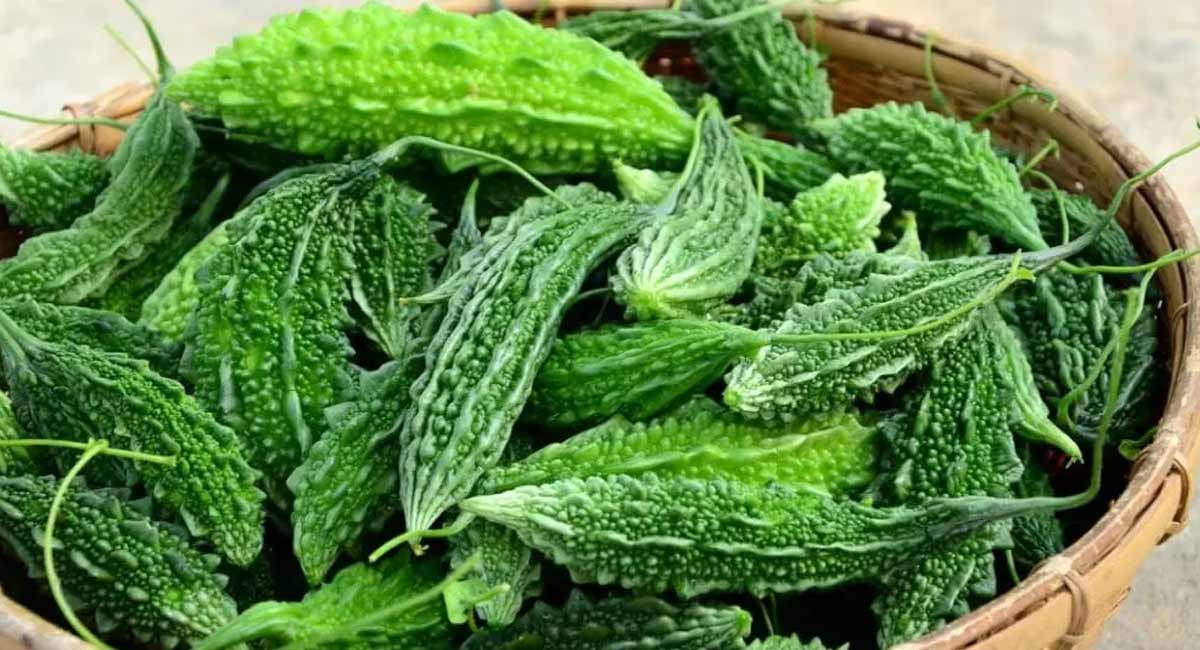 Bittergourd Health Benefits : డయాబెటిస్ వ్యాధితో బాధపడేవారు తరచుగా కాకరకాయ తినడం వల్ల కలిగే ప్రయోజనాలు మీకు తెలుసా..? health benefits of better guard