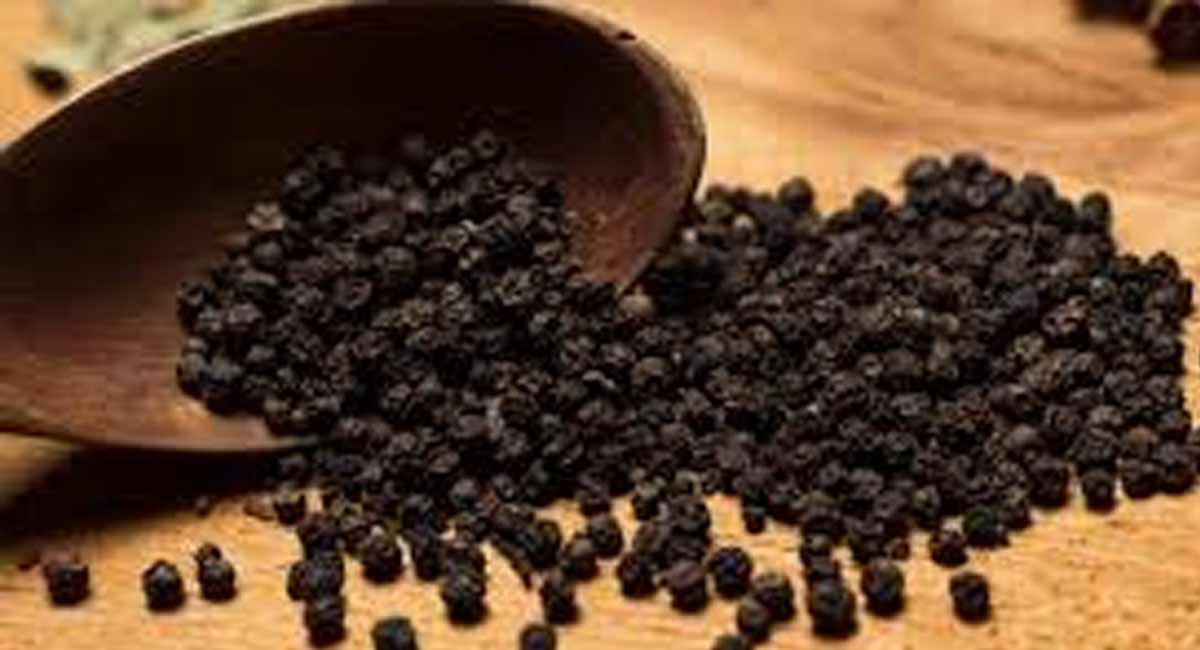 Black pepper : నల్ల మిరియాలతో కూడా బరువు తగ్గవచ్చు. weight loss with black pepper