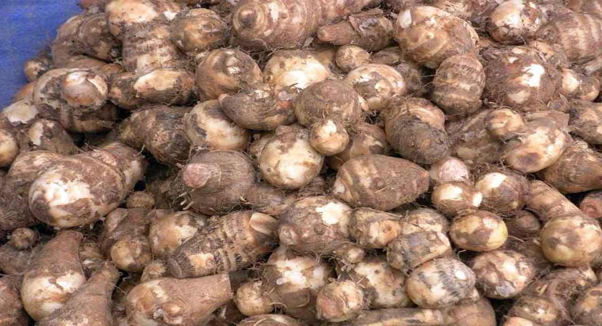 Health Benefits : మీరు ఆరోగ్యంగా ఉండాలంటే... ఈ చామదుంపలను, ఇలా కచ్చితంగా తీసుకోవాల్సిందే.. Health Benefits of chamadumpalu