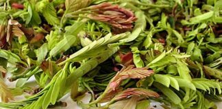Health Benefits of chinta chiguru