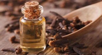 Toothache : దంత సమస్యలతో బాధపడుతున్నారా? అయితే ఇంట్లోనే ఇలా చేయండి.