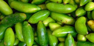 Health benefits of dondakaya