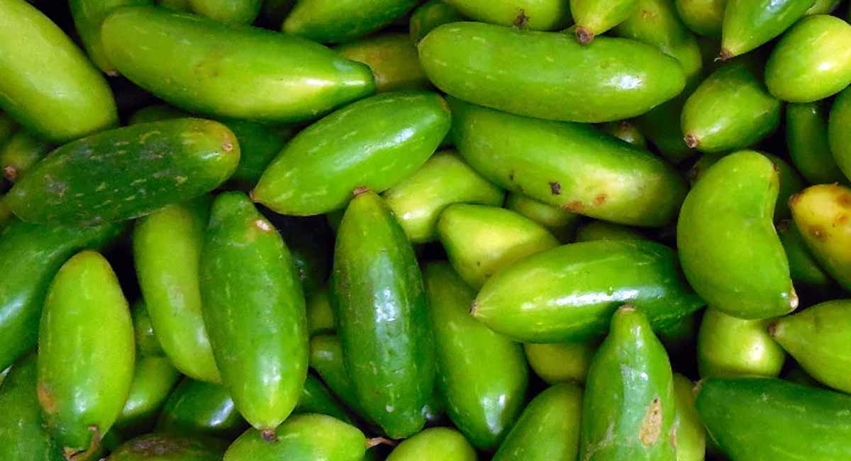 Health benefits : దొండకాయ తినడం వల్ల కలిగే ప్రయోజనాలు. Health benefits of dondakaya