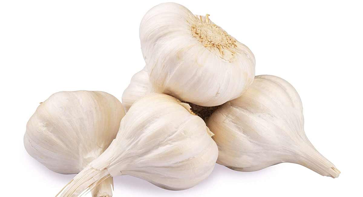 Health tips : వెల్లుల్లితో అధిక బరువు తగ్గించవచ్చా..... అయితే ఈ టిప్స్ మీకోసం. Health tips of garlic