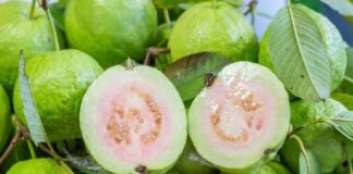 Health benefits of guavas and it's results