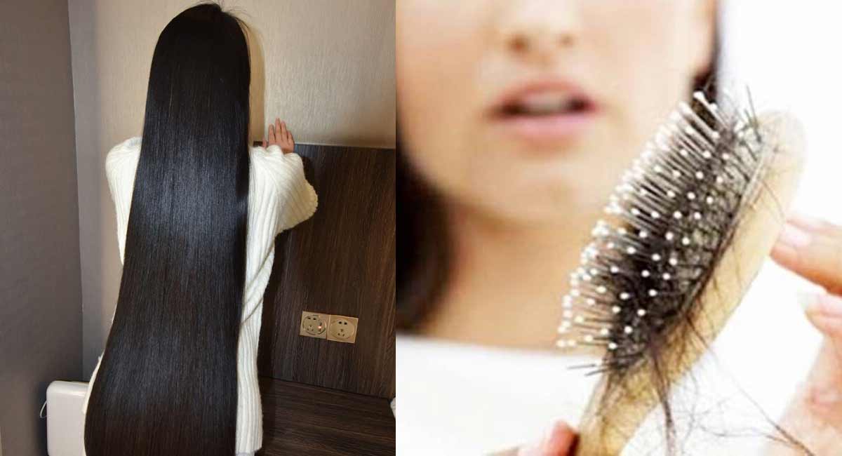 Hair Growth Tips : దీన్ని ఇలా ట్రై చేశారంటే... ఊడిపోయిన జుట్టు దగ్గర మరల కొత్త వెంట్రుకలు వస్తాయి. Ultimate hair fall remedy