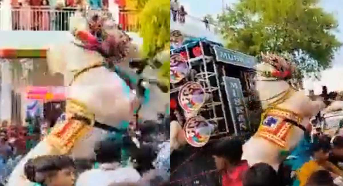 Viral Video : పెళ్లి భారాత్ లో డీజే సొండ్ కి కంగారు పడిన గుర్రం, తరవాత జరిగిన సంఘటనలకు అందరూ ఆశ్చర్యపోయారు.... Viral Video horse went out of control Indian marriage