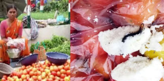 woman found jerry in idli parcel in telangana