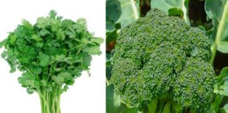 Health tips for body boad smell and swuat smell