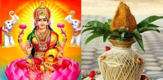 did you know goddess lakshi gives some