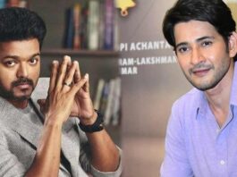 Mahesh babu act guest role in Vijay thalapathy' s movie
