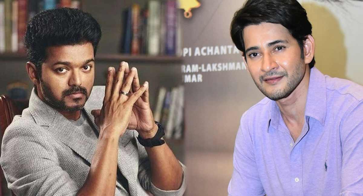 Mahesh Babu : విజయ్ తో మహేష్ బాబు కాంబినేషన్... ఇదే నిజమైతే బాక్సాఫీస్ బద్దలే... Mahesh babu act guest role in Vijay thalapathy' s movie
