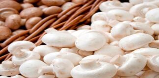 health benefits of mushrooms