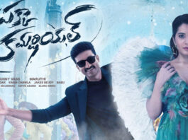 gopichand pakka commercial movie review and rating