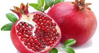 Pomegranate : దానిమ్మ పండు తింటే గుండెకి చేసే మేలు అంతా ఇంతా కాదు… దీని గురించి తెలిస్తే మీరు షాక్ అవుతారు.