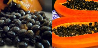 Health Benefits poppya seeds helps for weight loss