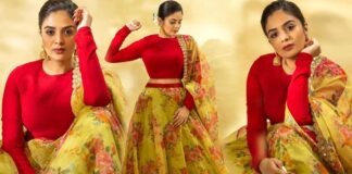 Sreemukhi in Beautiful dress looking gorgeous