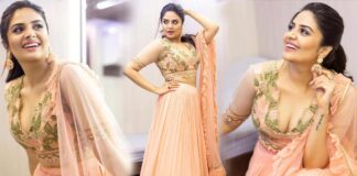 sreemukhi looking stunning on images gone viral