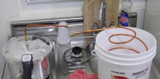 12 years old boy makes wine at home by watching youtube