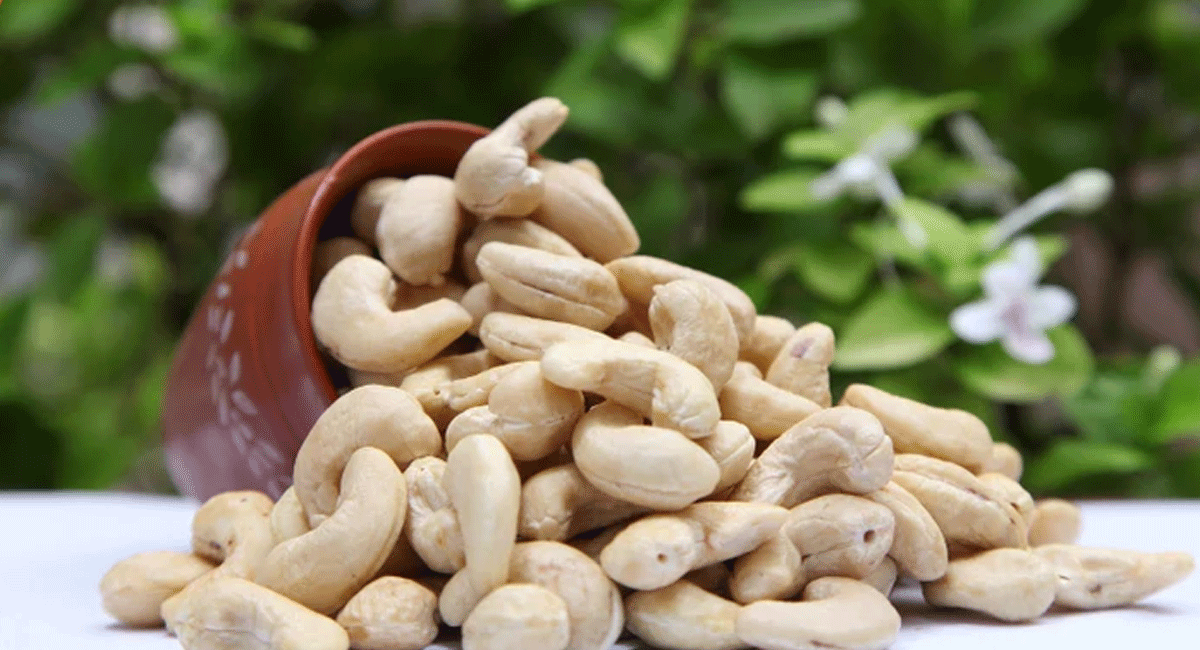 Health : జీడిపప్పులు ఆరోగ్యానికి మంచిదని ఎక్కువగా తింటున్నారా..? తస్మాత్ జాగ్రత్త. health effects for heavy eating Cashew nuts