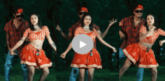 couple dance for bunny song gone viral in social media