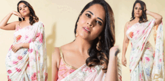 anasuya looking beautiful in sari photo shoot viral