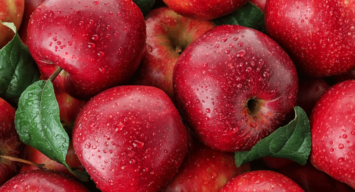 Apple side Effects : యాపిల్ ఆరోగ్యానికి మంచిదని ఎక్కువగా తింటున్నారా... అయితే ఈ విషయాలు తెలుసుకోవాల్సిందే. Eating more apples is good for health but know these things