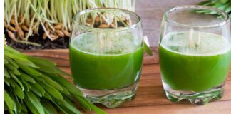 These are the benefits of barley grass juice