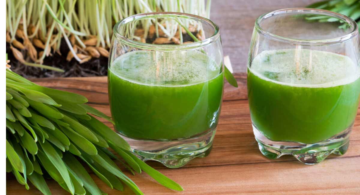 Barley Grass Juice : బార్లీ గడ్డి జ్యూస్ తో బోలెడు ప్రయోజనాలు. These are the benefits of barley grass juice
