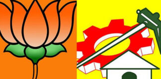 why bjp is showing special interest on tdp party