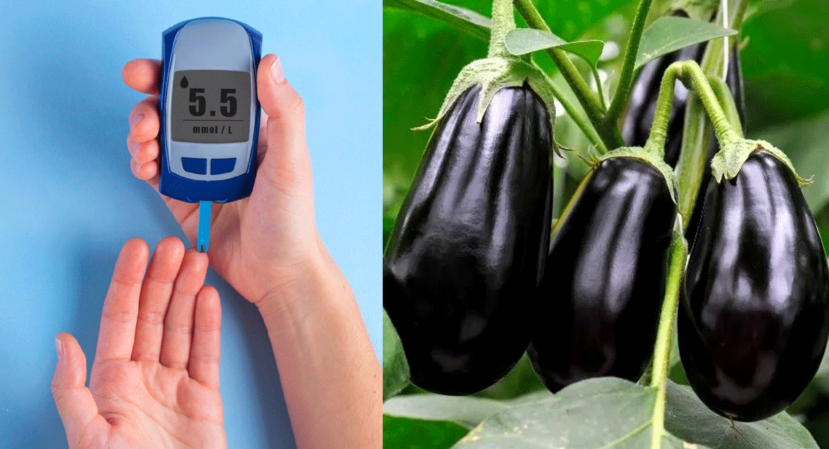 Health Benefits : ఈ కూరగాయని తినడం వల్ల ... మధుమేహం వ్యాధిగ్రస్తులకు చక్కటి ఫలితం. These are the benefits of eating eggplants