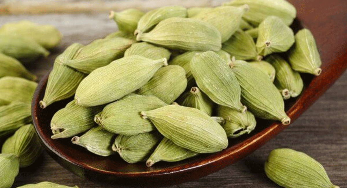 Cardamom : యాలకులు రోజు రెండు తింటే చాలు.... వీటి ప్రయోజనాలు తెలిస్తే అసలు వదలరు. Benefits of eating cardamom