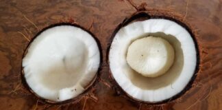 Do you know what happens when a flower appears when a coconut is tapped