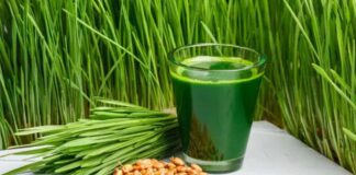 Health Benefits of godhuma gaddi juice
