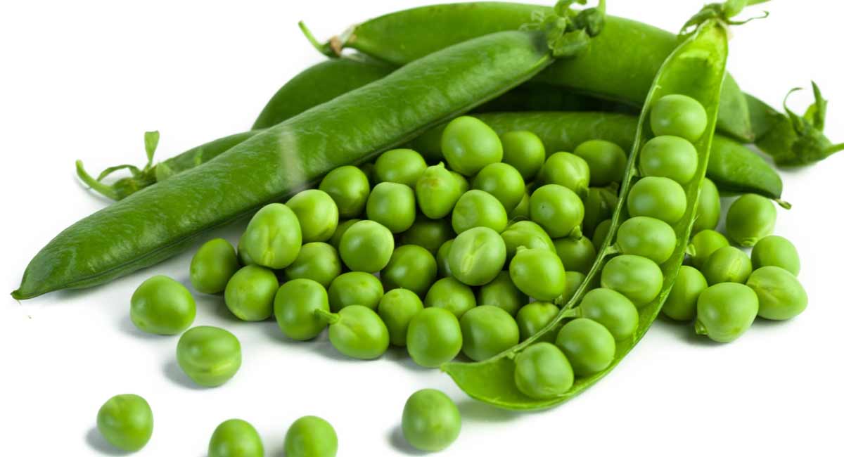 Health Tips : ఆకు పచ్చని బఠానీలతో హెల్త్ బెనిఫిట్స్ మీ కోసం.. Health Benefits of Green Peas