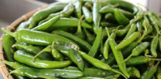 Health benefits of Green Chilli