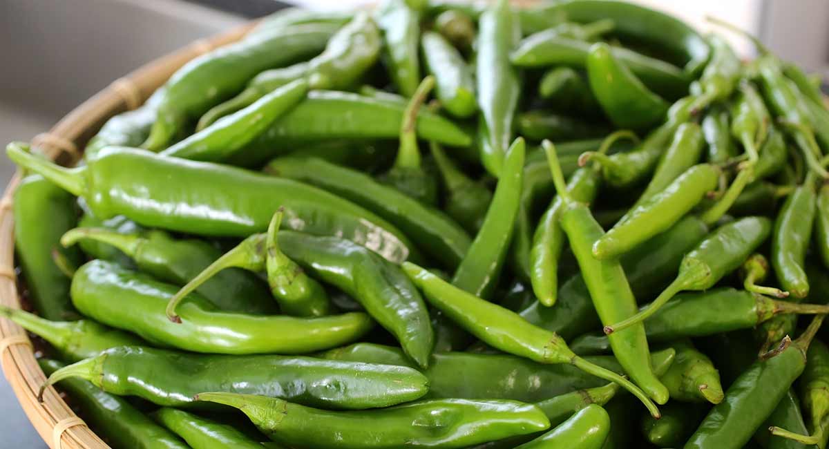 Green Chilli : గ్రీన్ చిల్లి బెనిఫిట్స్... అయితే ఇది మీరు తెలుసుకోవాల్సిందే. Health benefits of Green Chilli